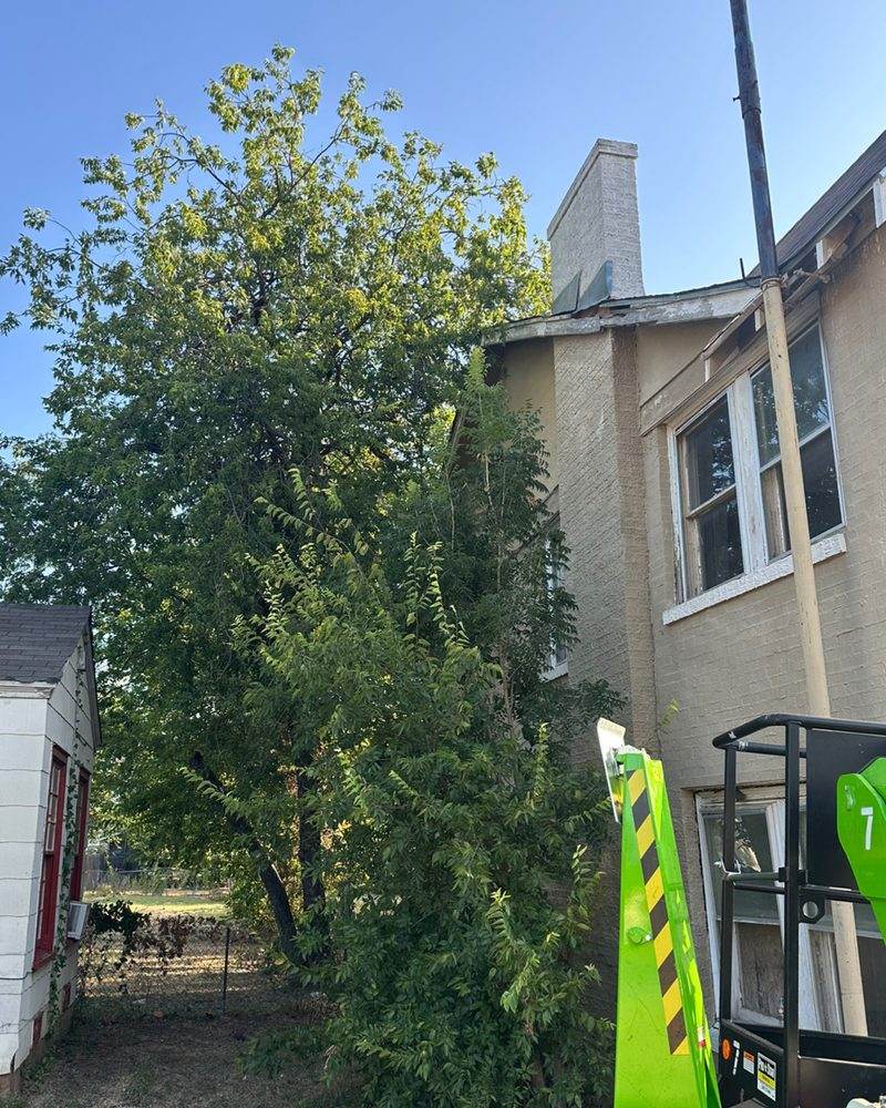 A clump of trees grown up against the side of a house, a lift parked beside it
