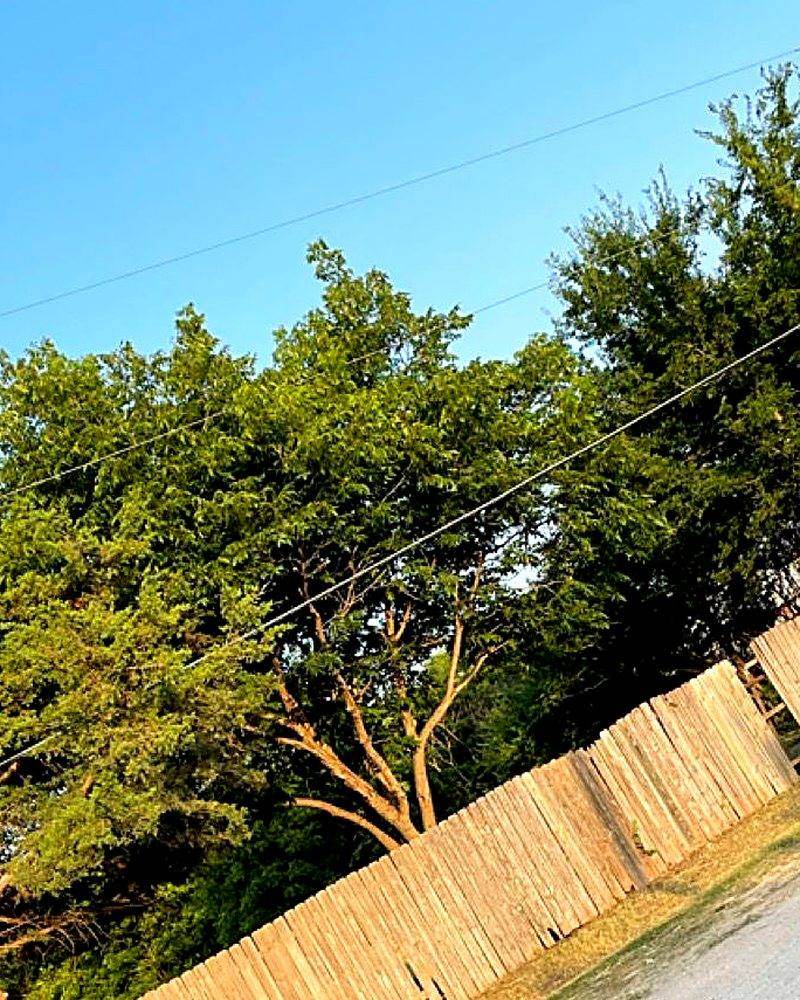 A cleared fence line in Wichita Falls after a Voltage crew finished