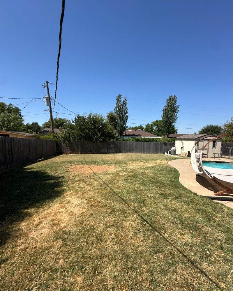 The same back yard with the tree gone